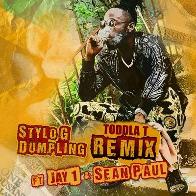 Dumpling (Toddla T Remix) 专辑 Stylo G