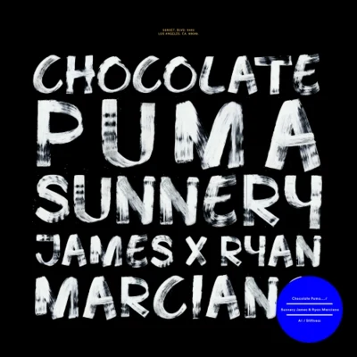 Stiffness 專輯 Chocolate Puma/Bodyrox