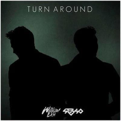 Turn Around (Radio Edit) 专辑 Dustin Miles/Stesso