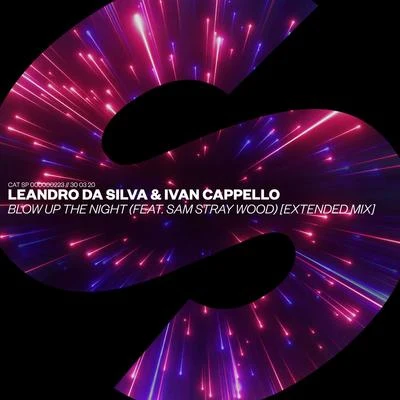 Blow Up The Night (feat. Sam Stray Wood) [Extended Mix] 专辑 Leandro Da Silva/Bazzflow