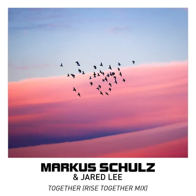 Markus Schulz Together