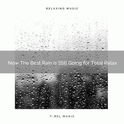 2020 Best: Now The Best Rain Is Still Going for Total Relax 专辑 Relaxing Sleep Sound/Rain Storm Sample Library/Rain Forest FX