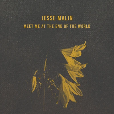 Meet Me At The End Of The World 专辑 Jesse Malin