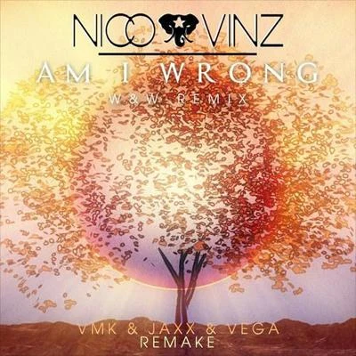 Am I Wrong (W&W Remix)(Jaxx & Vega & VMK Remake) 專輯 Jaxx & Vega