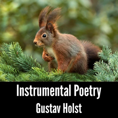 Gustav HolstMayfair Philharmonic Orchestra Instrumental Poetry: Gustav Holst