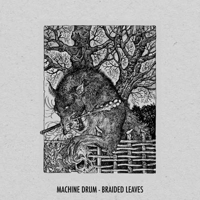 Braided Leaves 專輯 J-E-T-S/Machinedrum/Jimmy Edgar/Tkay Maidza