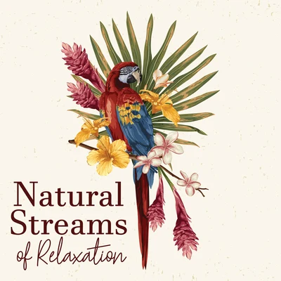 Natural Streams of Relaxation - Ambient Nature Sounds Collection, Bird Calls, Water & Rain, Body, Mind & Soul, Clear Your Mind, Total Comfort, Deep Re 專輯 Massage Therapy