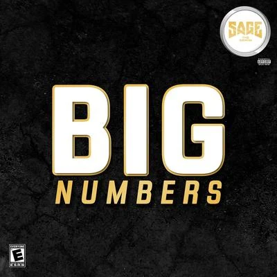 Big Numbers 专辑 99 Percent/Sage the Gemini