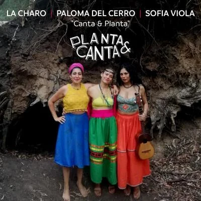 Canta & Planta (En Vivo) 专辑 Aylu/Paloma del Cerro