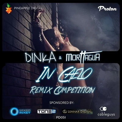 In Caello (Remixes Part 2) 專輯 Dinka