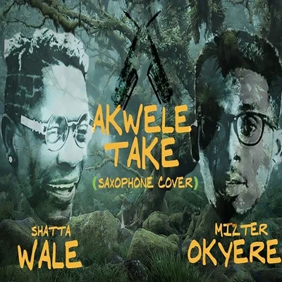 Akwele Take (Saxophone Cover) 專輯 Nina Browwn/Shatta Wale