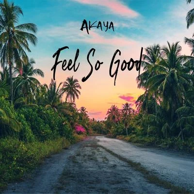 Feel So Good 專輯 Akaya