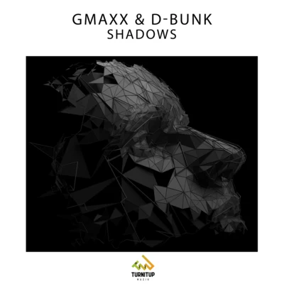 Shadows 專輯 Julian Ray/GMAXX