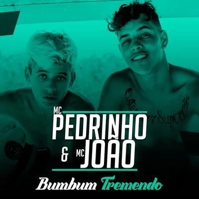 Bumbum Tremendo 专辑 Mc Pedrinho