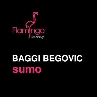 Baggi BegovicBryan Dalton Sumo