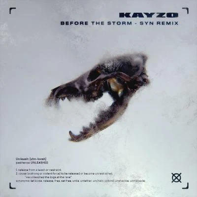 Before The Storm (SYN Remix) 專輯 Kayzo