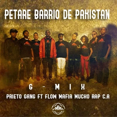 Prieto GangSr PerezOmar ChilenaEl PhilippeNatan El ProfetaJota Efe MusicPatógeno MusaEl Capitan BrosRapheroh09 E Menor De Herrera Petare Barrio de Pakistan G-Mix