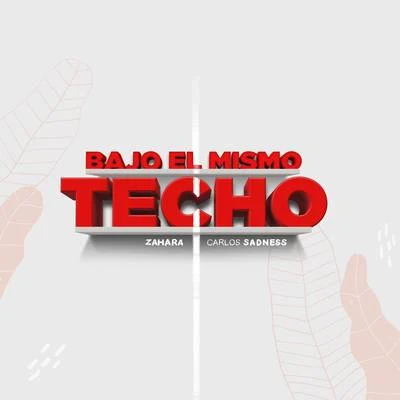 Bajo el Mismo Techo 專輯 Zahara