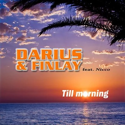 Till Morning 专辑 Nicco/Darius X Finlay