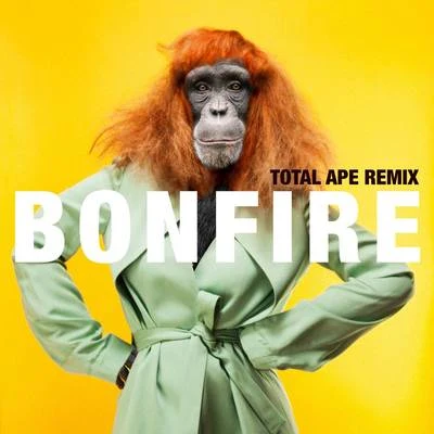 Bonfire (Total Ape Remix) 專輯 Miss Li