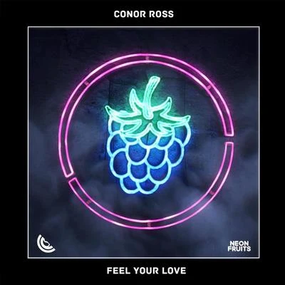 Feel Your Love 专辑 Conor Ross