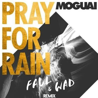 Pray For Rain (Faul & Wad Remix) 專輯 Faul & Wad