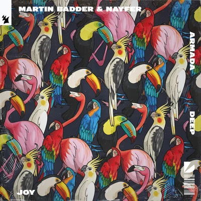 Joy 專輯 Knytro/Martin Badder