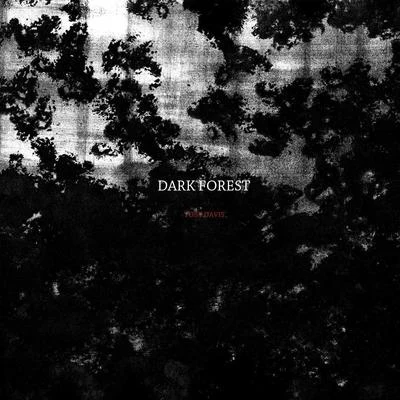 Dark Forest 專輯 Toby Davis