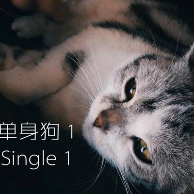 原创-单身狗1 专辑 爱星人