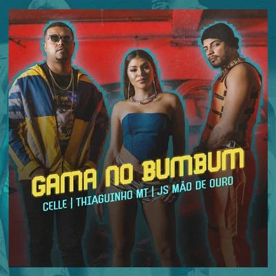 Gama no meu bumbum 專輯 Aldair Playboy/Thiaguinho MT/JS o Mão de Ouro