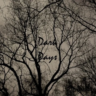 Dark Days 专辑 Sebaztian/William Taylor/Progley/Ben Walter