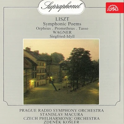 Liszt: Symphonic Poems - Wagner: Siegfried-Idyll 專輯 Karel Šejna/Czech Philharmonic/Chamber Ensemble of Professors Conservatory