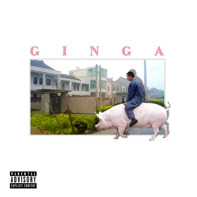 三環外買別墅 專輯 Ginga (金甲)/順德/奇才