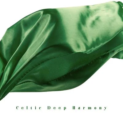 Celtic Deep Harmony - 15 Ambient Melodies Straight from Nature, Irish Vibes, Music to Relaxation, Sleep, Meditation and Rest 專輯 Inspiring New Age Collection