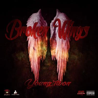 Broken Wings 專輯 Bigboi Steve/Young Twon/Scario Andreddi