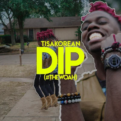 DIP (他和我啊哈) 專輯 TisaKorean/fancy