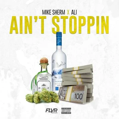 Aint Stoppin 專輯 Mike Sherm