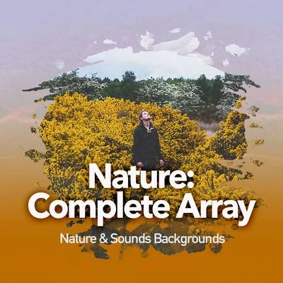 Nature: Complete Array 專輯 Nature & Sounds Backgrounds