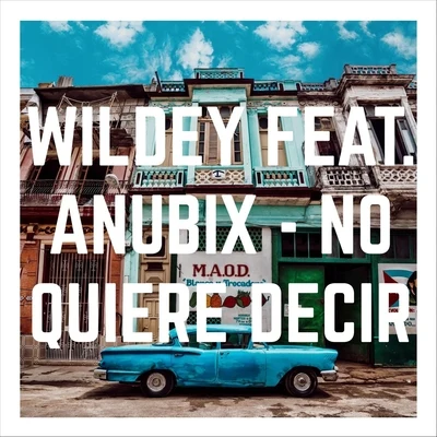 No Quiere Decir (feat. Anubix) 專輯 Anubix