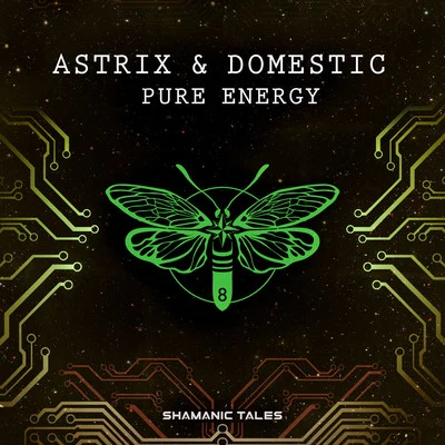 Pure Energy 专辑 Astrix