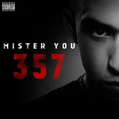 3.5.7 專輯 Mister You