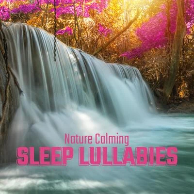 Nature Calming Sleep Lullabies: 2020 Nature Music for Sleep, Rest and Relax 專輯 Sleep Sound Library/Ocean Sounds