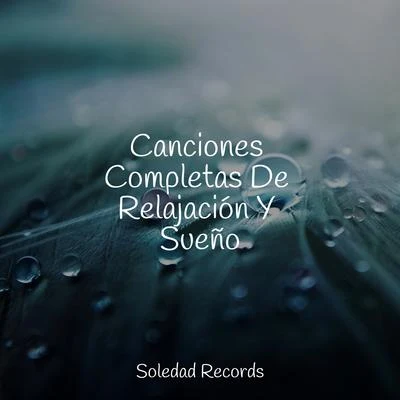 Canciones Completas De Relajación Y Sueño 专辑 Einstein Study Music Experience/Piano para Dormir/Piano: Classical Relaxation