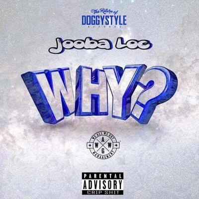 Why? 专辑 Cinco/Jooba Loc