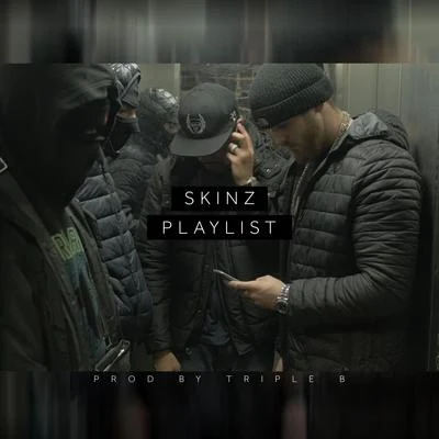 Playlist 專輯 The Recipe/Skinz