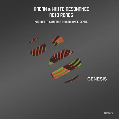 Acid Roads 专辑 White Resonance/Maiantech