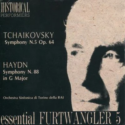 Orchestra Sinfonica di Torino della Rai Tchaikovsky: Symphony No. 5 in E Minor - Haydn: Symphony No. 88 in G Major