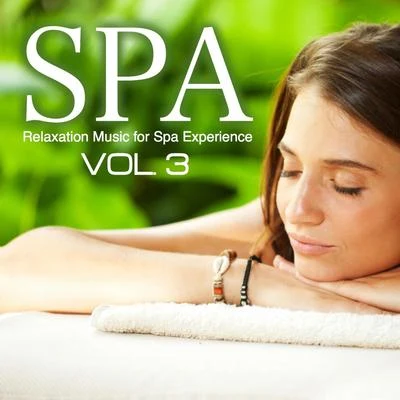 Limitless Spa Relaxation Music for Spa Experience, Vol. 3