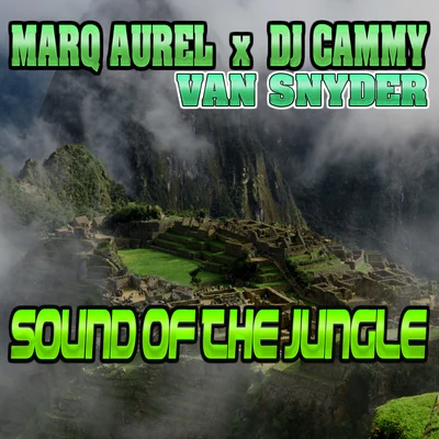 Sound of the Jungle 專輯 Van Snyder