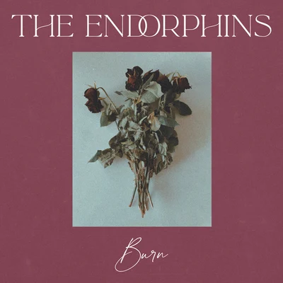 Burn 專輯 Amaya/The Endorphins